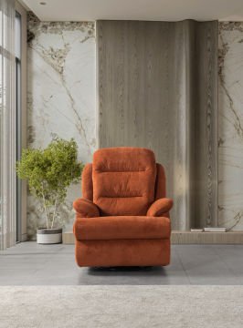 ALYA SALLANIR KOLTUK